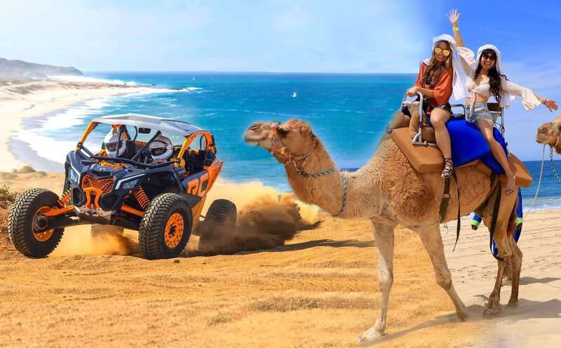 Cabo San Lucas: Camel Ride & Off-Road UTV Combo Adventure - Why this Cabo combo works so well