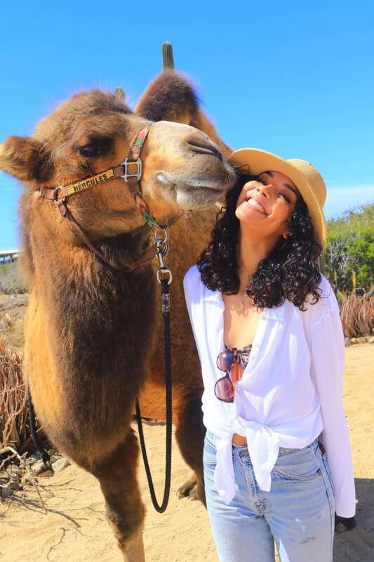 Cabo San Lucas: Camel Ride & Off-Road UTV Combo Adventure - The extra charges change the value calculation