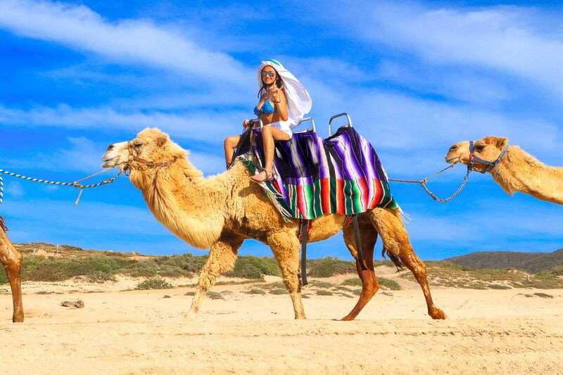 Cabo San Lucas: Camel Ride & Off-Road UTV Combo Adventure - Group size, comfort, and timing