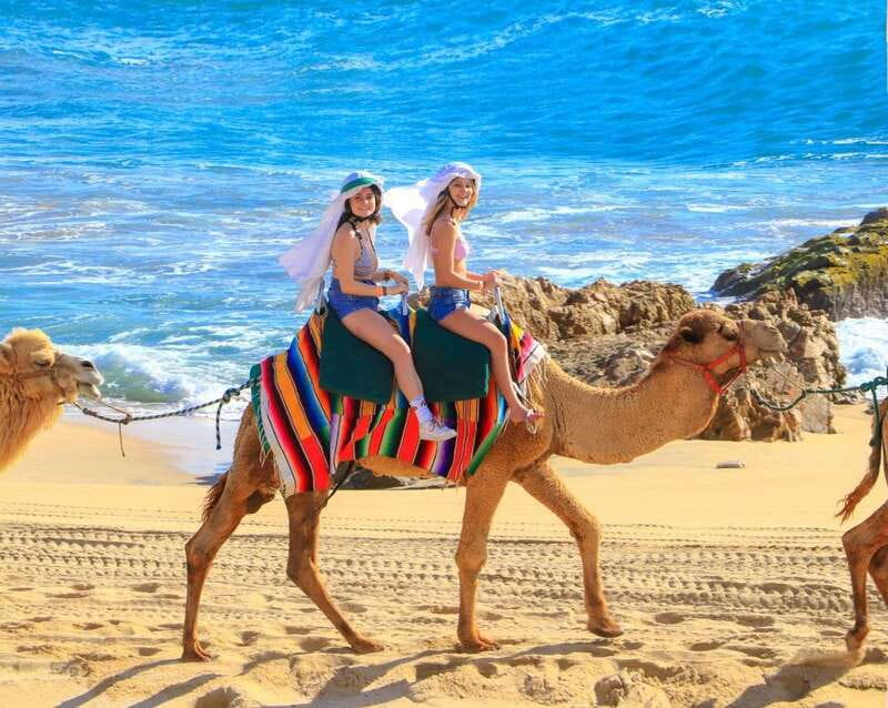 Cabo San Lucas: Camel Ride & Off-Road UTV Combo Adventure - Who should book this experience