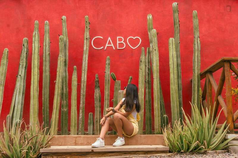 Cabo San Lucas: Camel Safari Tour with Lunch and Tequila - Key points before you book