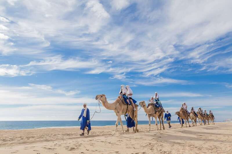 Cabo San Lucas: Camel Safari Tour with Lunch and Tequila - Reaching the ranch from Cabo and San José del Cabo