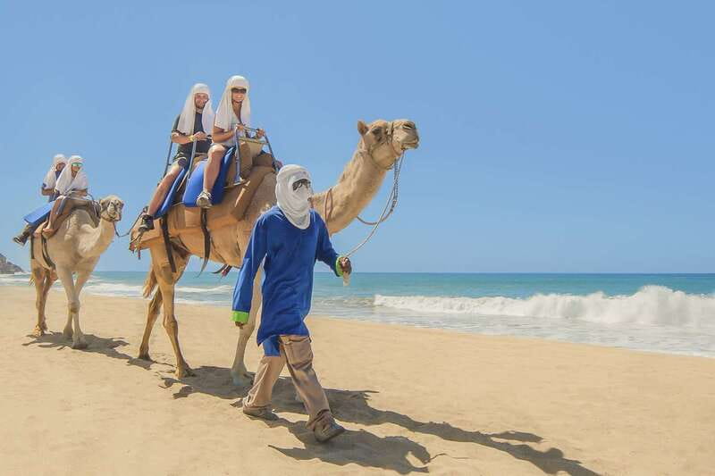 Cabo San Lucas: Camel Safari Tour with Lunch and Tequila - The 20-minute camel ride beside the Pacific