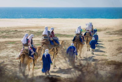 Camel Safari Tour with Lunch and Tequila