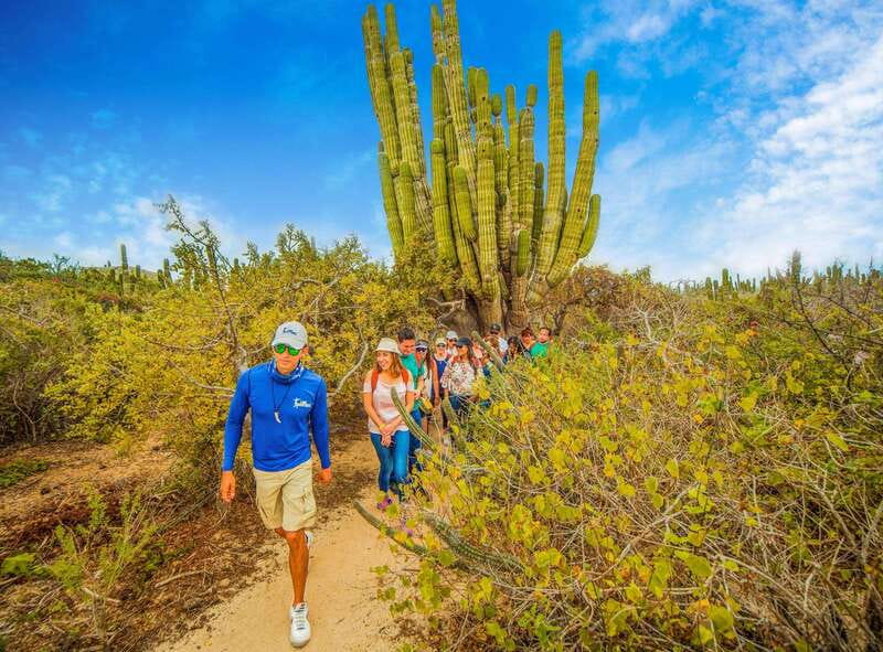 Cabo San Lucas: Camel Safari Tour with Lunch and Tequila - Ocean views and possible winter whales