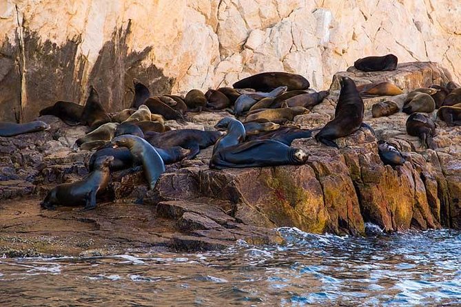 Cabo San Lucas city tour and amazing sea adventure to Lands End! - Land’s End, the Arch, and Cabo’s famous rocks