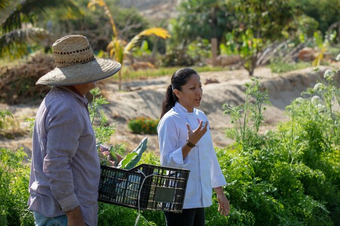 Cabo San Lucas Cooking Classes by Chef Ari - From chopping board to a full Mexican meal