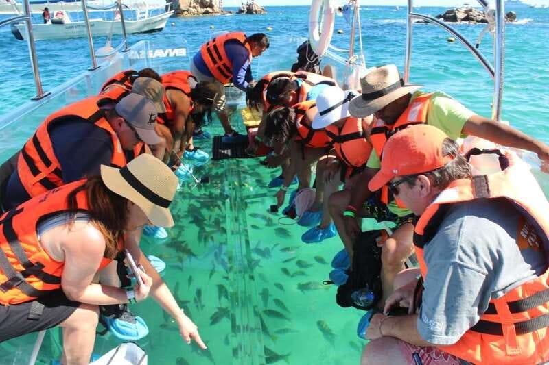 Cabo San Lucas: Glass Bottom Boat Tour to Land's End - Meeting at Envatours and getting ready to board