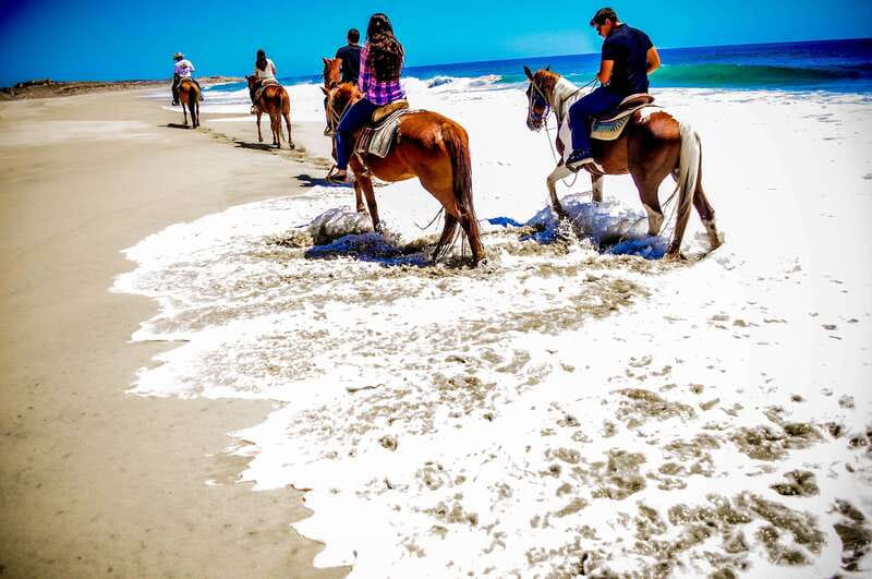 Cabo San Lucas: Horseback Riding in Migriño with Transfers - Key points to know before you book