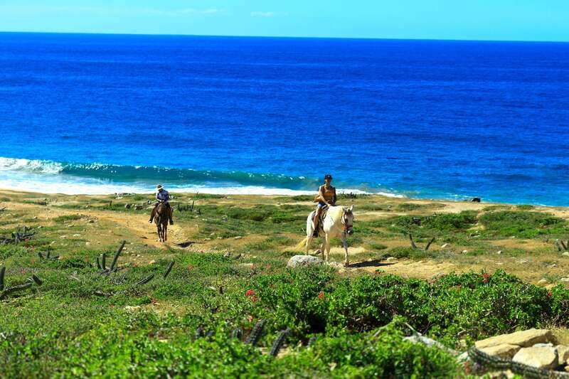 Cabo San Lucas: Horseback Riding in Migriño with Transfers - From Cabo hotels to the Pacific coast