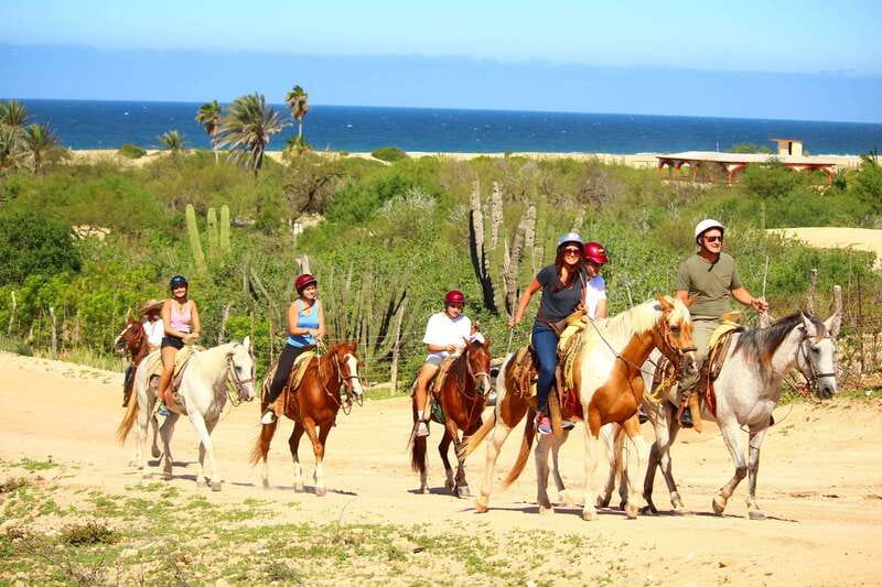 Cabo San Lucas: Horseback Riding in Migriño with Transfers - Riding through Migriño’s desert and rocky trails