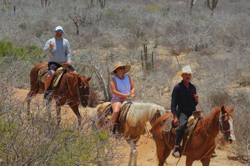 Cabo San Lucas: Horseback Riding in Migriño with Transfers - The beach ride and the big coastal viewpoint