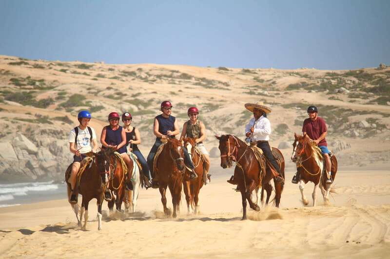 Cabo San Lucas: Horseback Riding in Migriño with Transfers - What happens after you leave the saddle