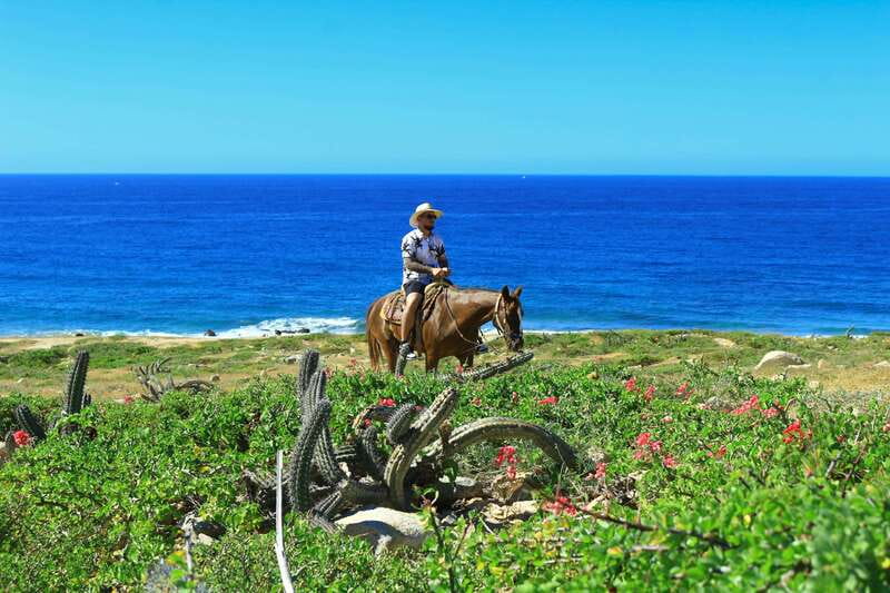 Cabo San Lucas: Horseback Riding in Migriño with Transfers - Is $87 a fair price?