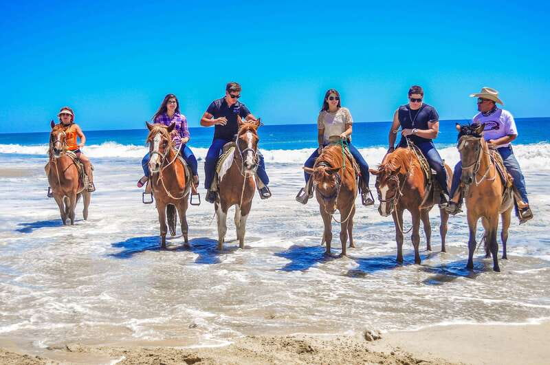 Cabo San Lucas: Horseback Riding in Migriño with Transfers - Should you book this horseback tour?