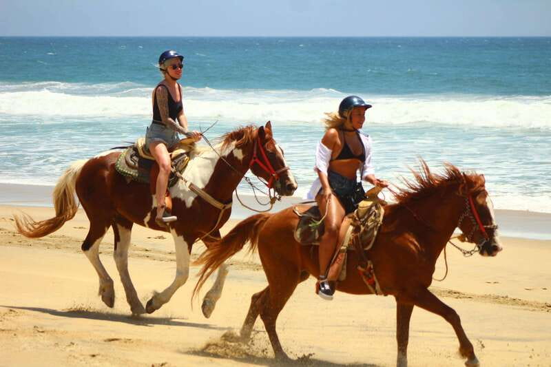 Cabo San Lucas: Horseback Riding in Migriño with Transfers - Choosing a horse for a desert and beach route