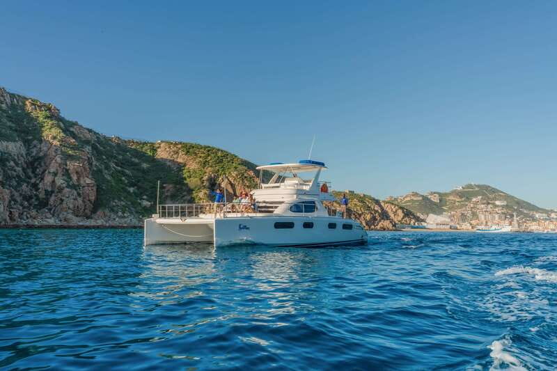 Cabo San Lucas: Luxury Catamaran Whale Watching Experience - How good are the whale sightings?
