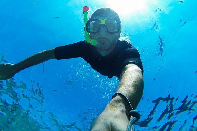 Cabo San Lucas Short Snorkeling Tour with Divemaster Guide - A short outing with two different moods
