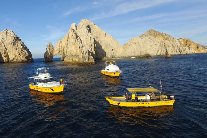Cabo San Lucas Short Snorkeling Tour with Divemaster Guide - The guides make the difference