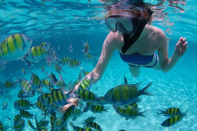 Cabo San Lucas Short Snorkeling Tour with Divemaster Guide - Finding the marina meeting point