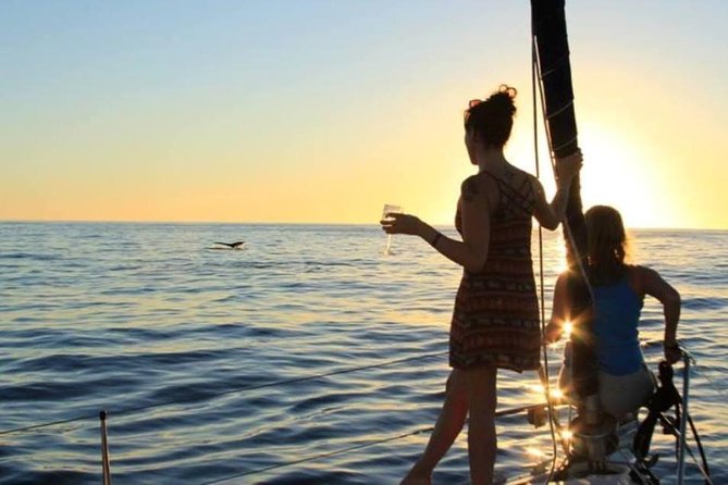 Cabo San Lucas Sunset Sailing Shared Cruise - Watching the Sun Drop Behind the Pacific