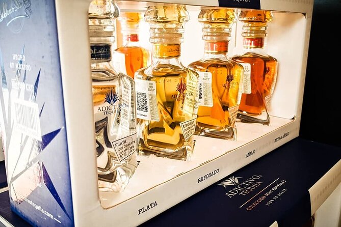 Cabo San Lucas Tequila Tasting Experience - Food pairings that make the tasting more memorable