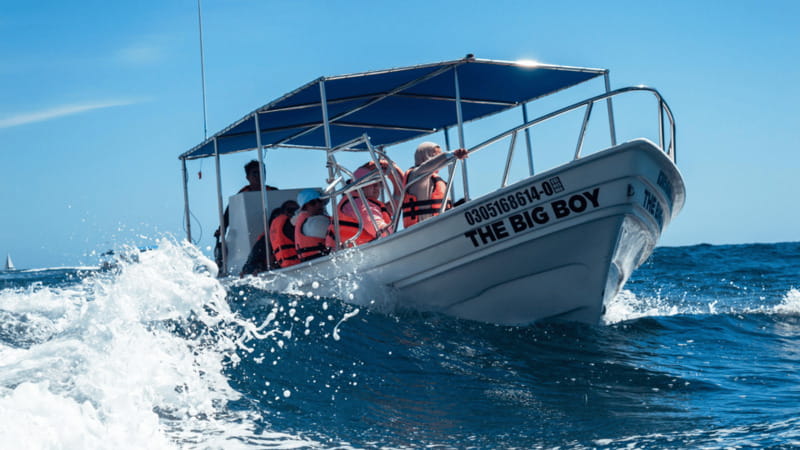 Cabo San Lucas: Tour paseo al Arco + bajada en playa - Why this inexpensive Cabo boat ride works