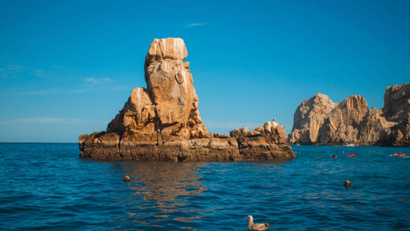 Cabo San Lucas: Tour paseo al Arco + bajada en playa - The boat ride to Cabo’s famous Arch