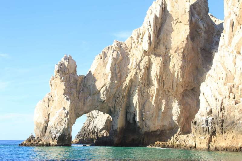 Cabo San Lucas: Up-Close Whale Watching Small-Group Tour - Starting At La Terminal de Cabo