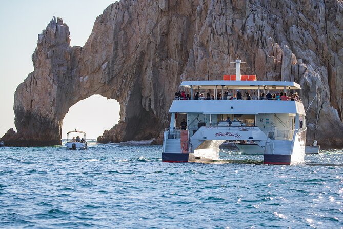 Cabo San Lucas Whale Watching Lunch Cruise - Accessibility: read this part carefully
