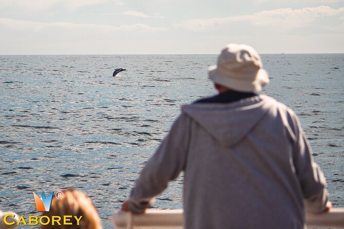 Cabo Whale Watch Three-Level Vessel and Majestic Arch - Quick Points Before You Book