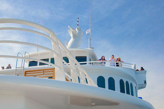 Cabo Whale Watch Three-Level Vessel and Majestic Arch - Who Will Enjoy This Boat Most?