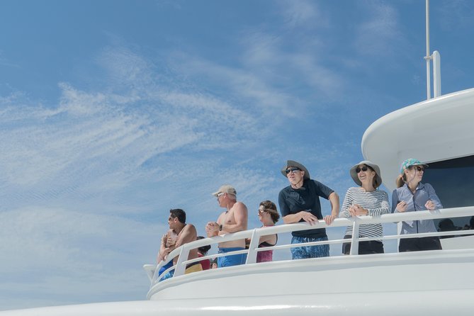 Cabo Whale Watch Three-Level Vessel and Majestic Arch - Weather, Cancellation, and Practical Planning