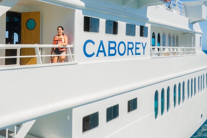 Cabo Whale Watch Three-Level Vessel and Majestic Arch - Searching for Gray and Humpback Whales