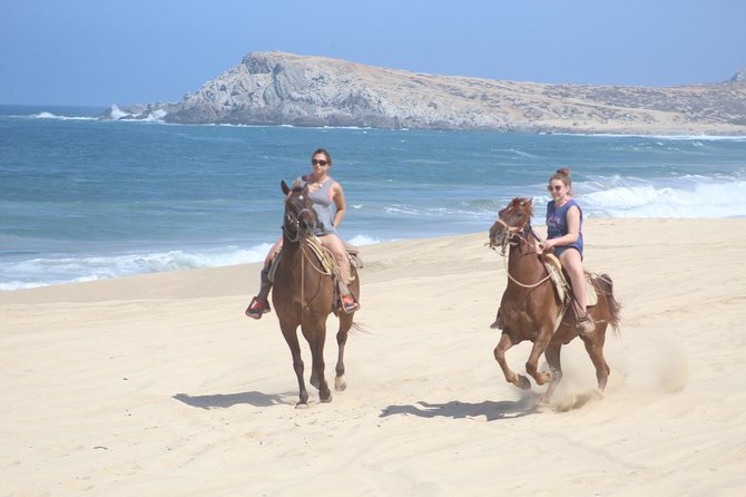 Cabo White Sand Horseback Riding Tour and Tequila Tasting - Key points to know before booking