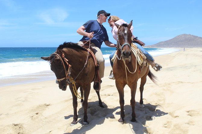 Cabo White Sand Horseback Riding Tour and Tequila Tasting - Through Baja’s cactus desert