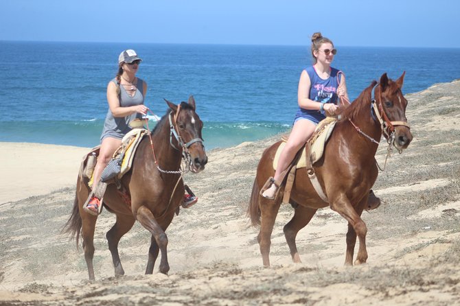 Cabo White Sand Horseback Riding Tour and Tequila Tasting - The tequila tasting, with some fine print