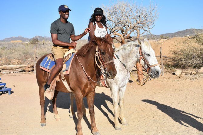 Cabo White Sand Horseback Riding Tour and Tequila Tasting - The real cost: $85 becomes more