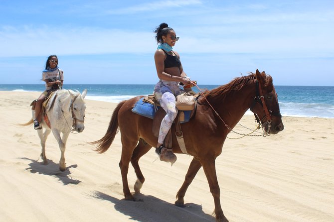 Cabo White Sand Horseback Riding Tour and Tequila Tasting - Group size, guide quality, and the human factor
