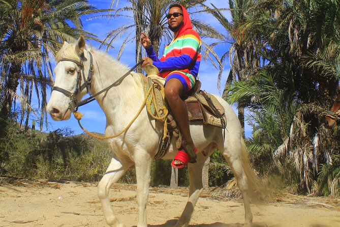 Cabo White Sand Horseback Riding Tour and Tequila Tasting - Who will enjoy this Cabo ride most