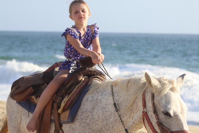 Cabo White Sand Horseback Riding Tour and Tequila Tasting - Meeting your horse and finding your pace