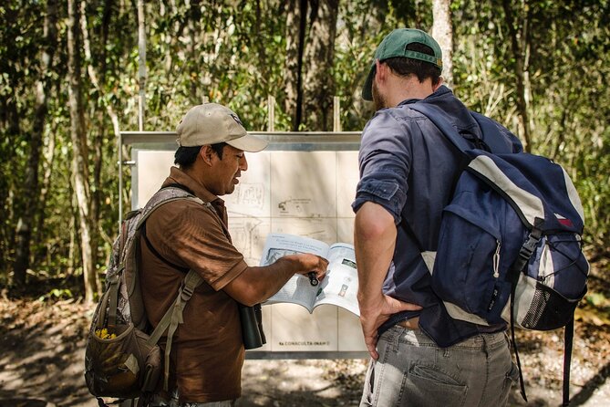 Calakmul Ancient Maya City Tour From Xpujil - Why Calakmul Makes a Worthwhile Day Trip