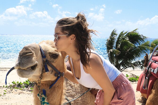 Camel Expedition and Beach Club In Riviera Maya - Meeting and feeding the camels