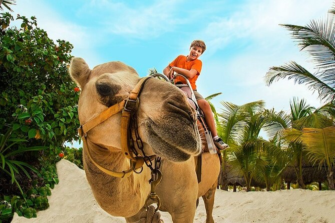 Camel Expedition and Beach Club In Riviera Maya - The photo policy can change the final price
