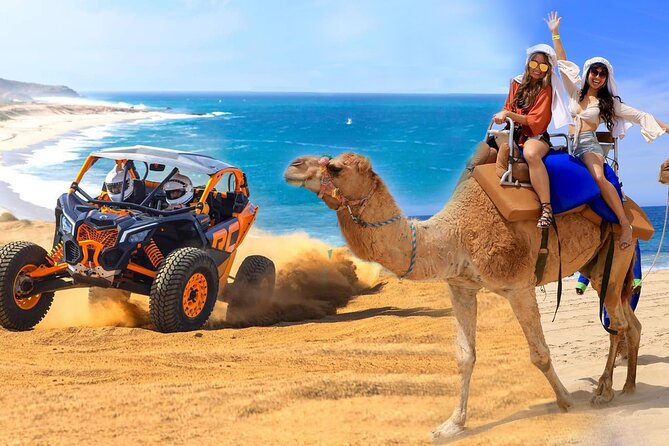 Camel Ride and UTV Combo Adventure, with Tequila Tasting - Key points before you book