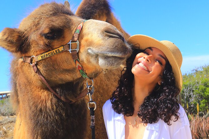 Camel Ride and UTV Combo Adventure, with Tequila Tasting - Safety briefing and the camel ride at Playa Migriño