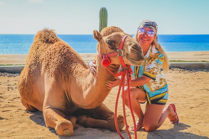 Camel Ride and UTV Combo Adventure, with Tequila Tasting - Collision insurance and the real price of the outing