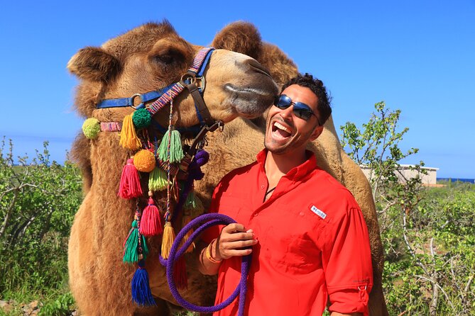 Camel Ride and UTV Combo Adventure, with Tequila Tasting - Tequila tasting after the rides
