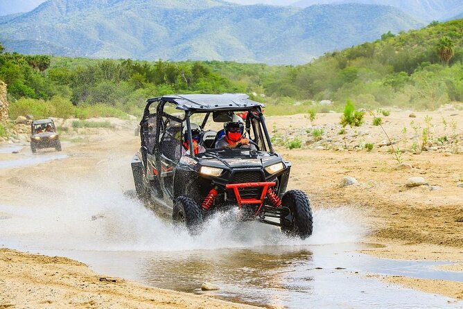 Camel Ride and UTV Combo Adventure, with Tequila Tasting - Who will enjoy this Cabo excursion most