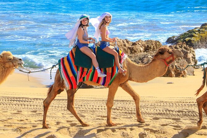 Camel Ride and UTV Combo Adventure, with Tequila Tasting - Baja off-road driving through desert and dunes